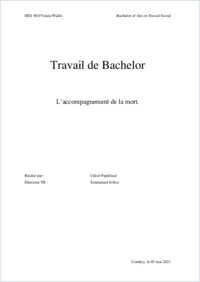 Travail de Bachelor Chloé Papilloud 2023.pdf